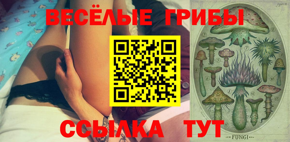 Псилоцибиновые грибы мухоморы Казань