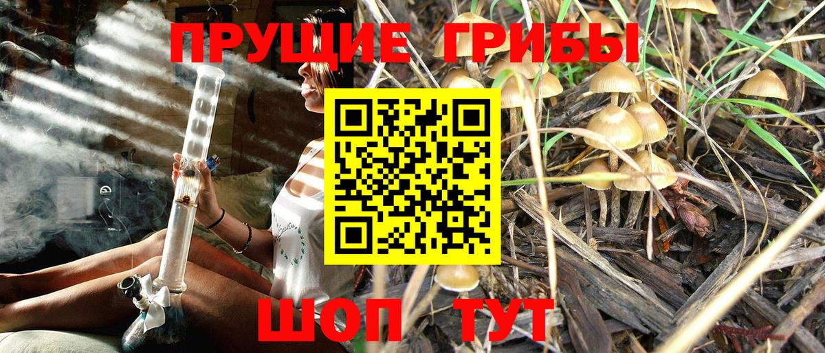 Галлюциногенные грибы GOLDEN TEACHER  Вход с VPN  Казань 